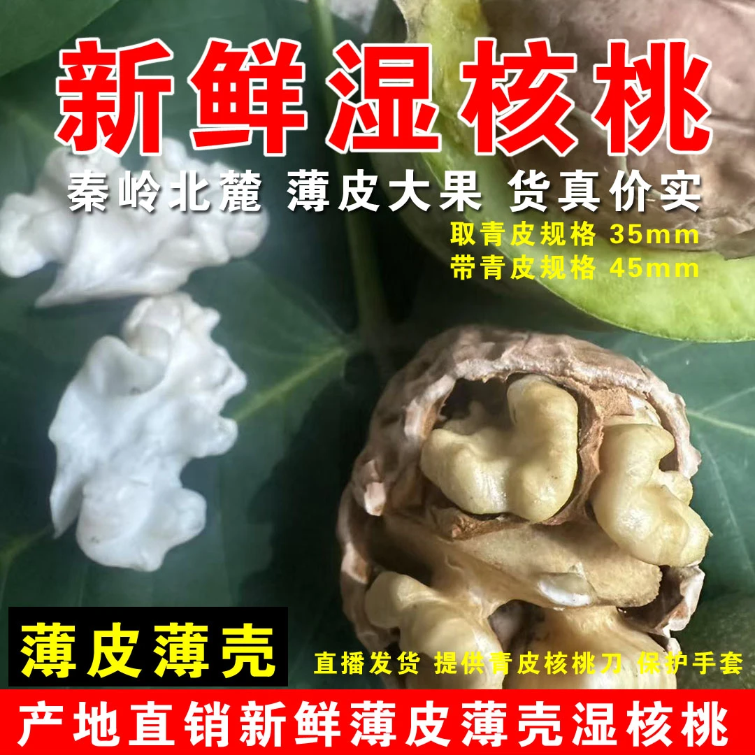 2025年陕西秦岭山老树甄选大果薄皮青皮薄壳新鲜核桃2025新货