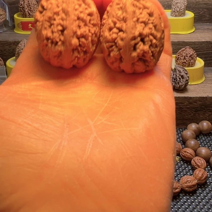 核桃6号车fangloulow