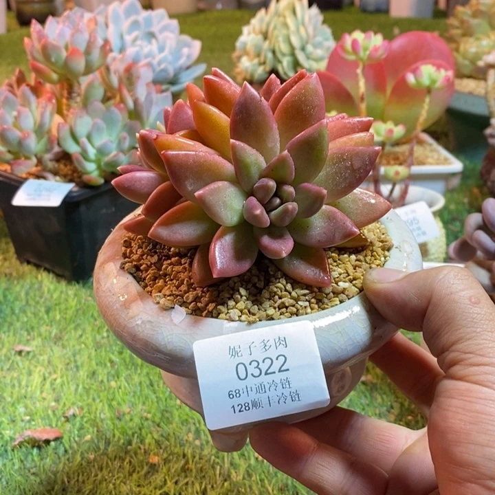 0322啊啊啊啊啊啊啊啊啊啊