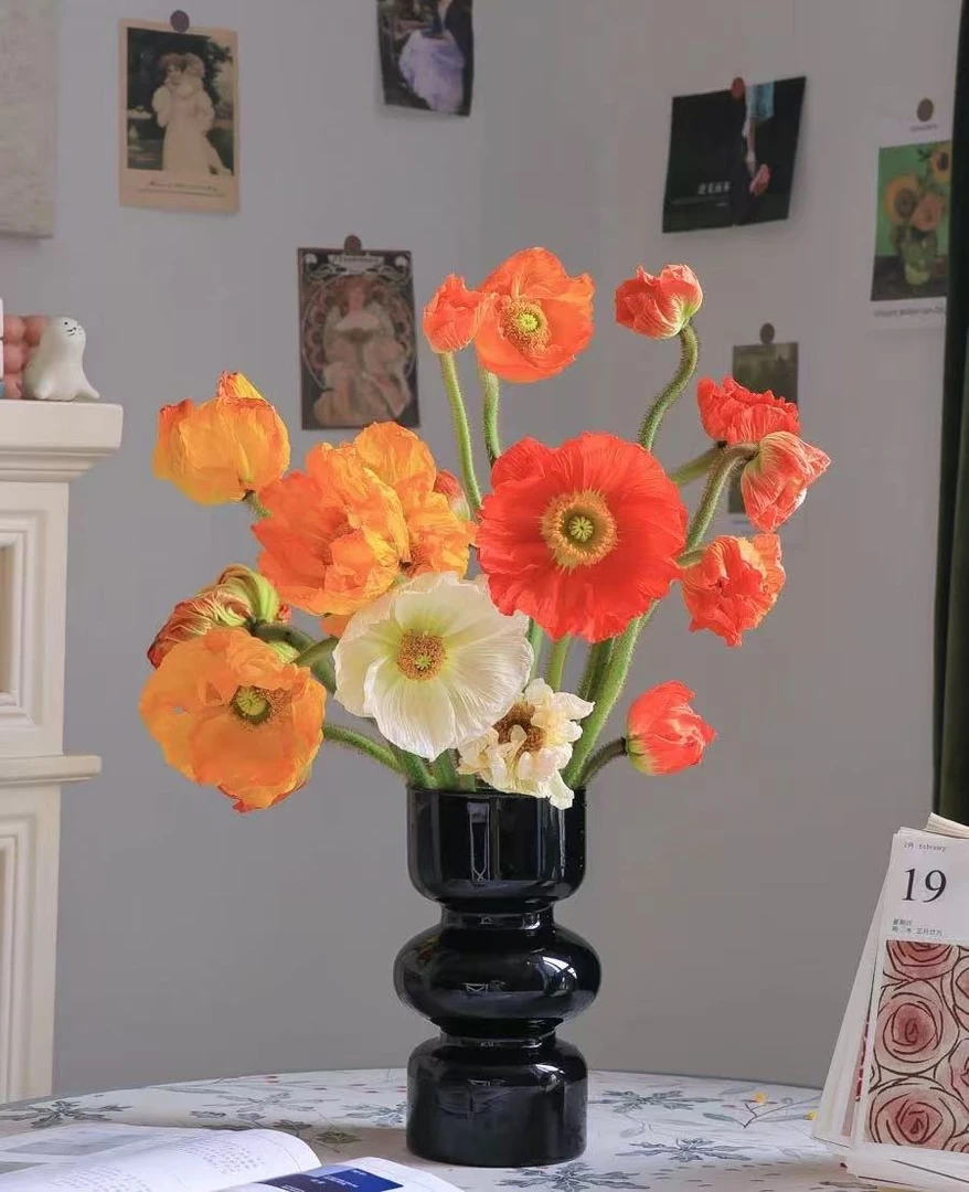 【葡璞花舍】大头虞美人（混色） 1扎 10枝