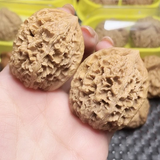 文玩核桃全品大花大刺
