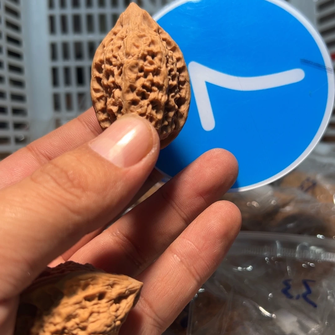 起***了文玩核桃，蓝色07号