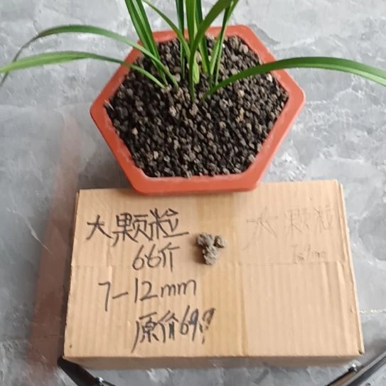 阿***选兰菌黑山土大颗粒6.6斤