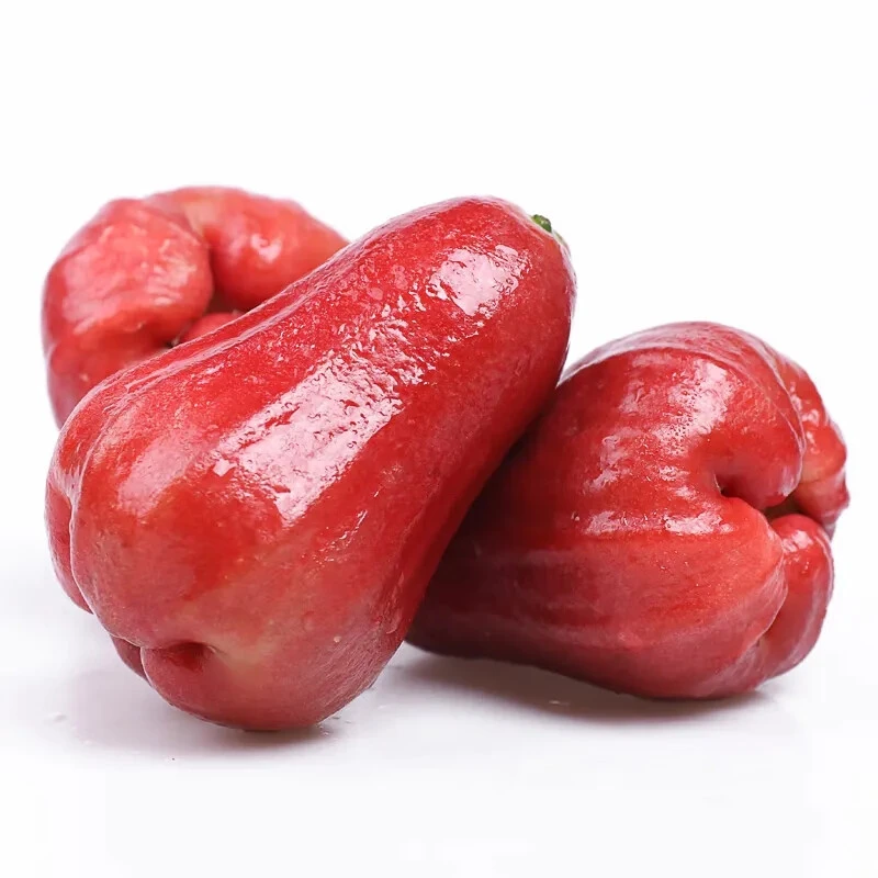 黑糖御品芭比莲雾当季新鲜精选非黑金刚清甜高水汁孕妇水果【精品】