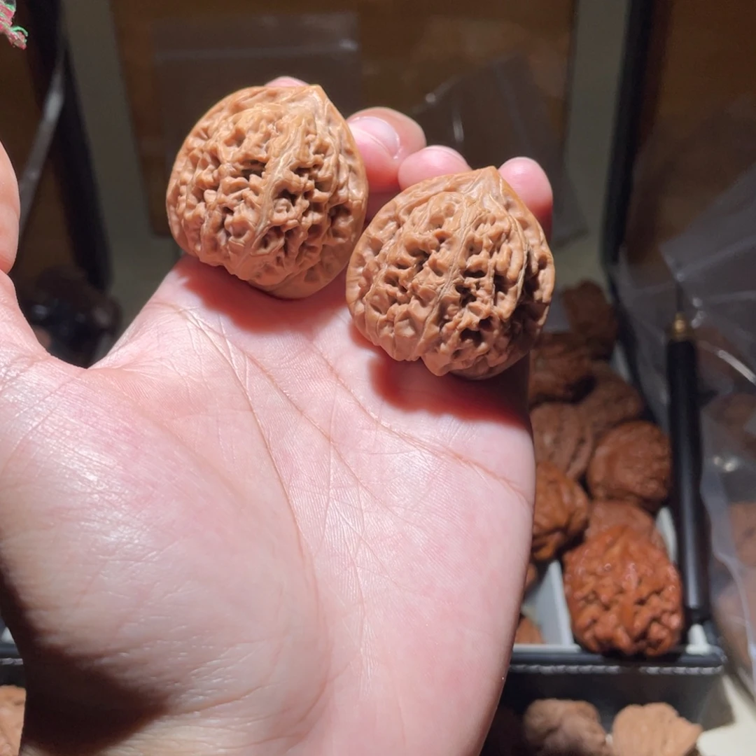 38尺寸凤凰台狮子头