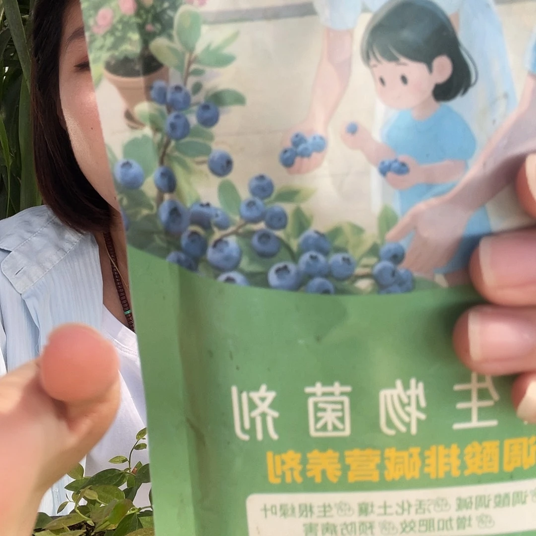 自来水调酸菌送两颗苔藓苗