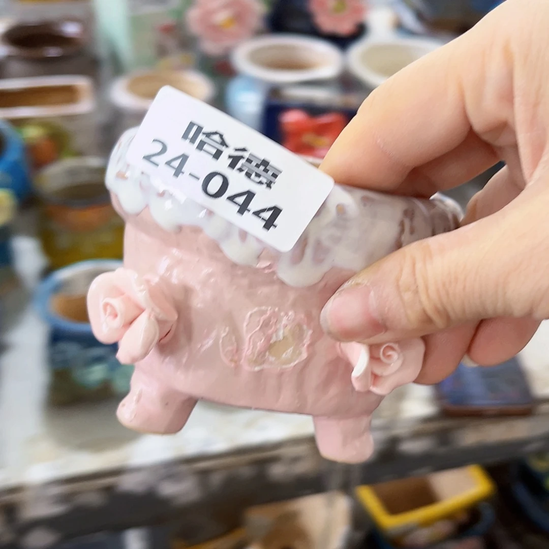 瑕疵2444 满18.8元包邮发货