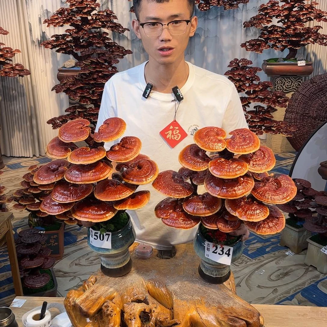 无花朵8888888888888