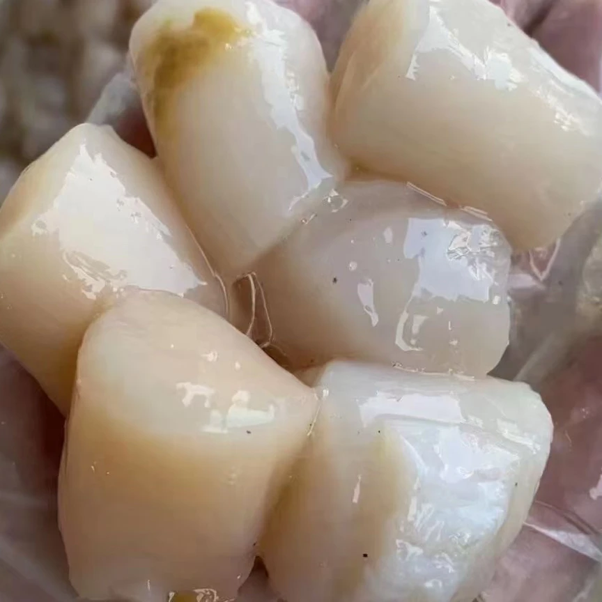 莱州当地大颗粒扇贝丁京东包邮