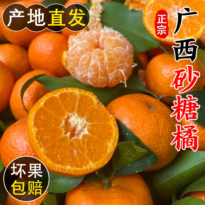广西正宗砂糖橘小桔子皮薄肉厚新鲜带叶应季水果现摘现发饱满多汁