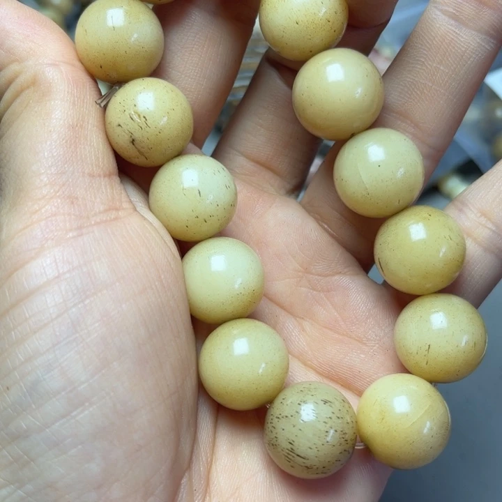 大果紫檀（缅甸花梨）