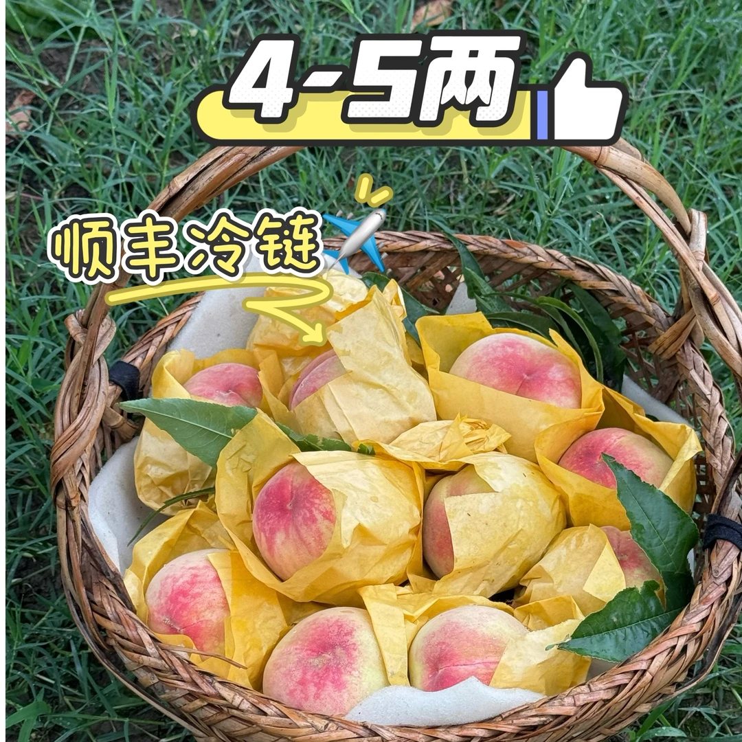 单【桃小桃】无锡阳山水蜜桃 单果4-5两8个装新鲜采摘桃