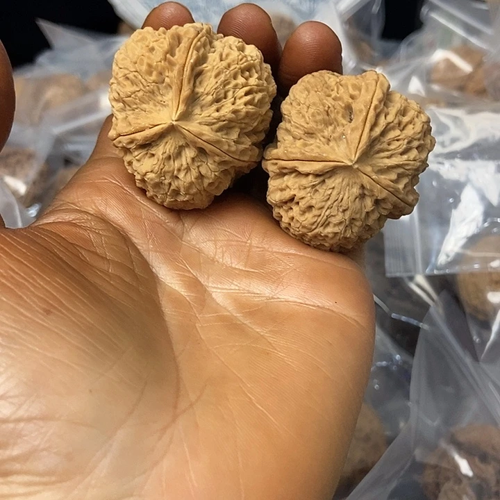 把件文玩核桃云南铁核桃基地26