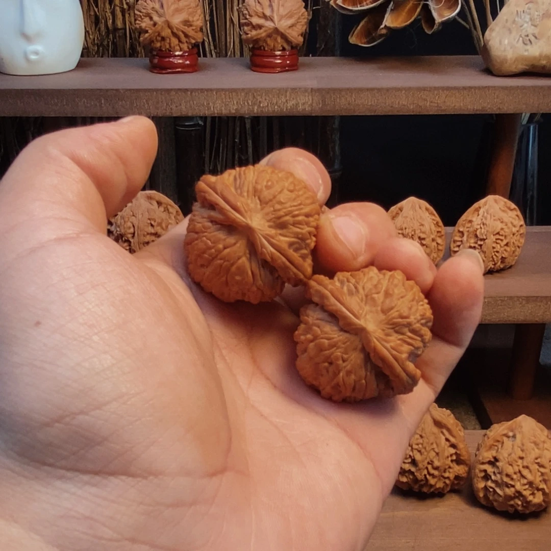 核桃手串/手链37全品红皮白狮子