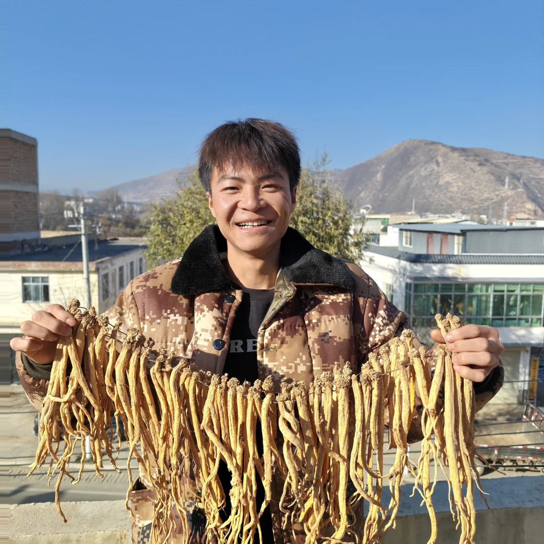 【种植党参】甘肃岷县整根党参种植货无添加