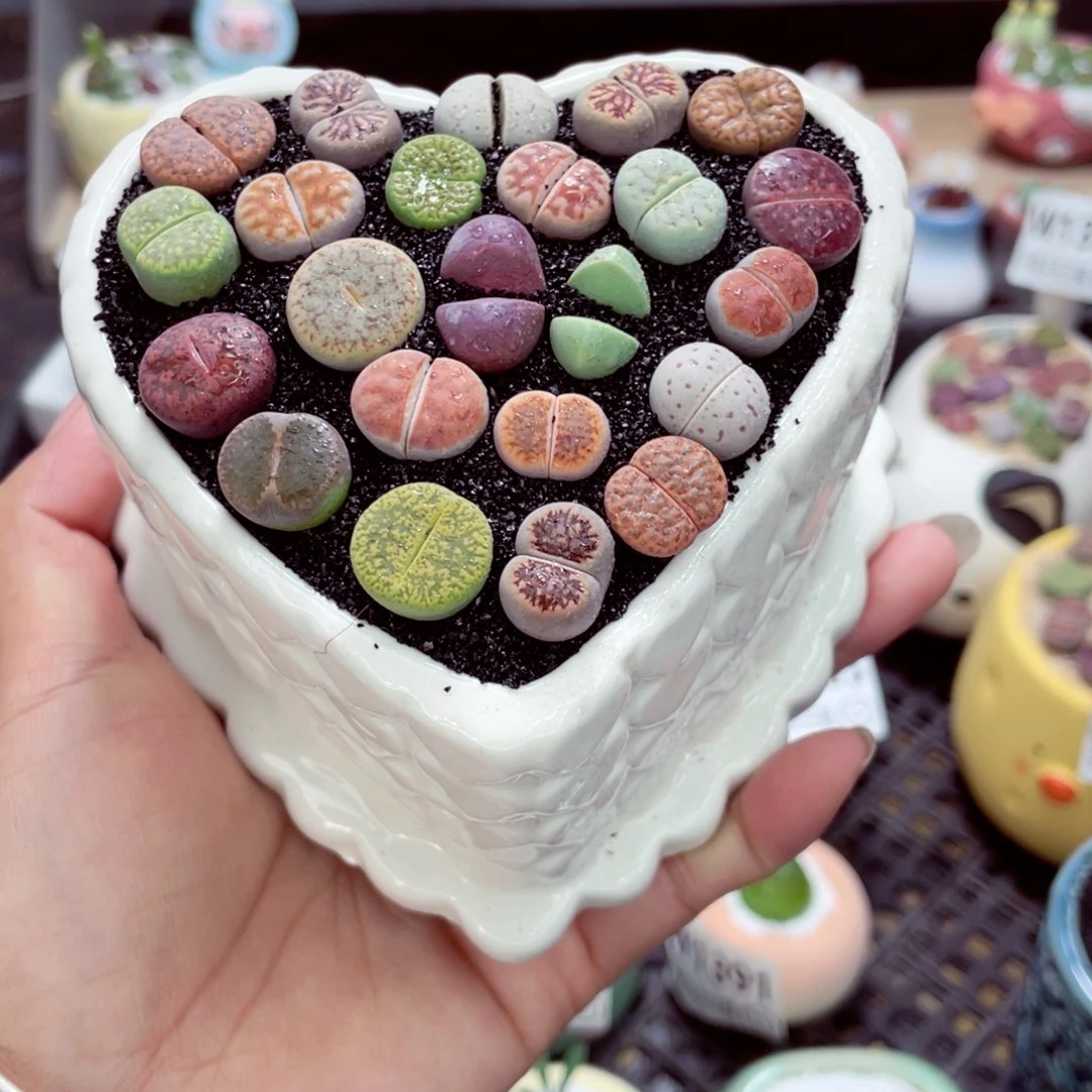 w1399 零下地区拍保温箱