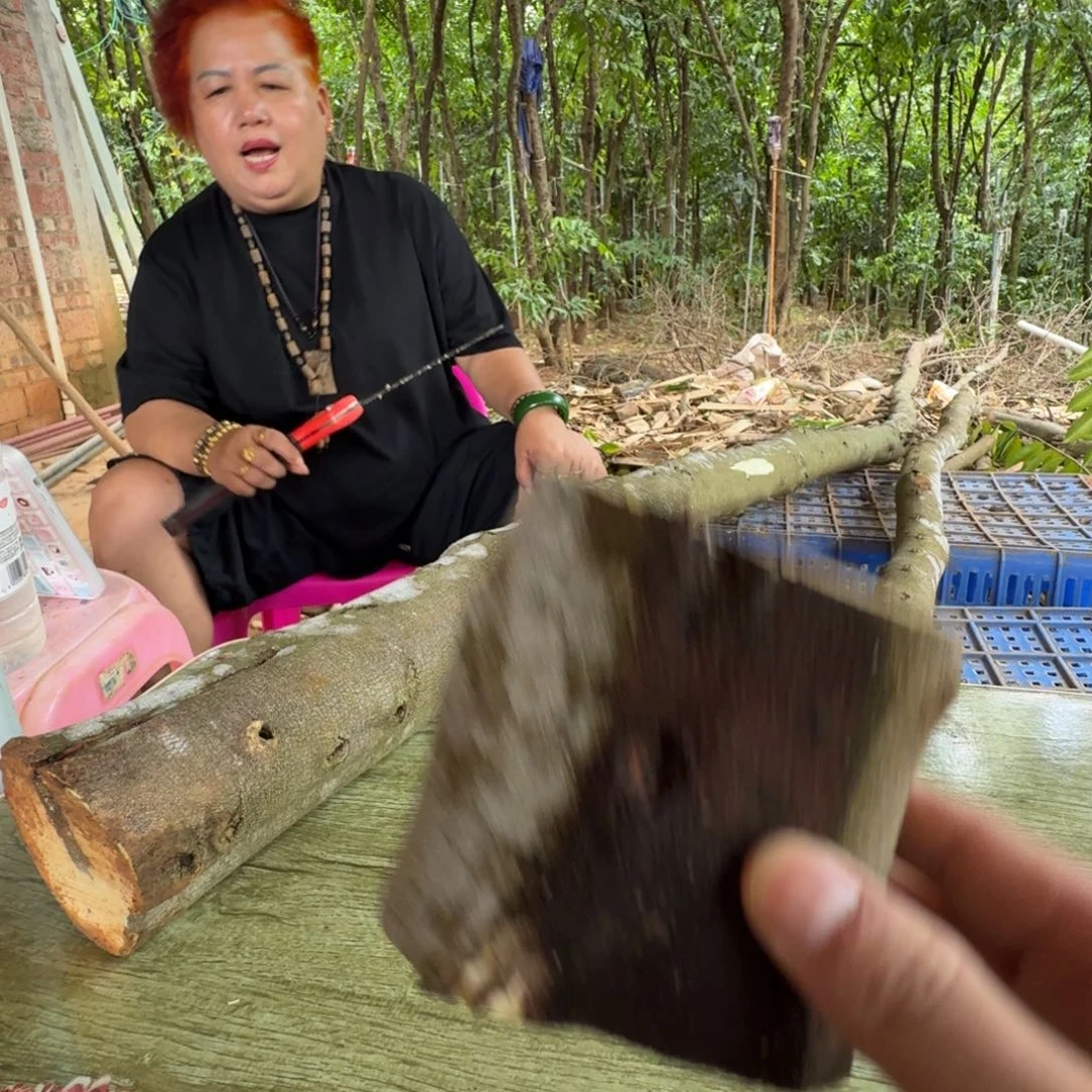 线香奇楠沉香原木