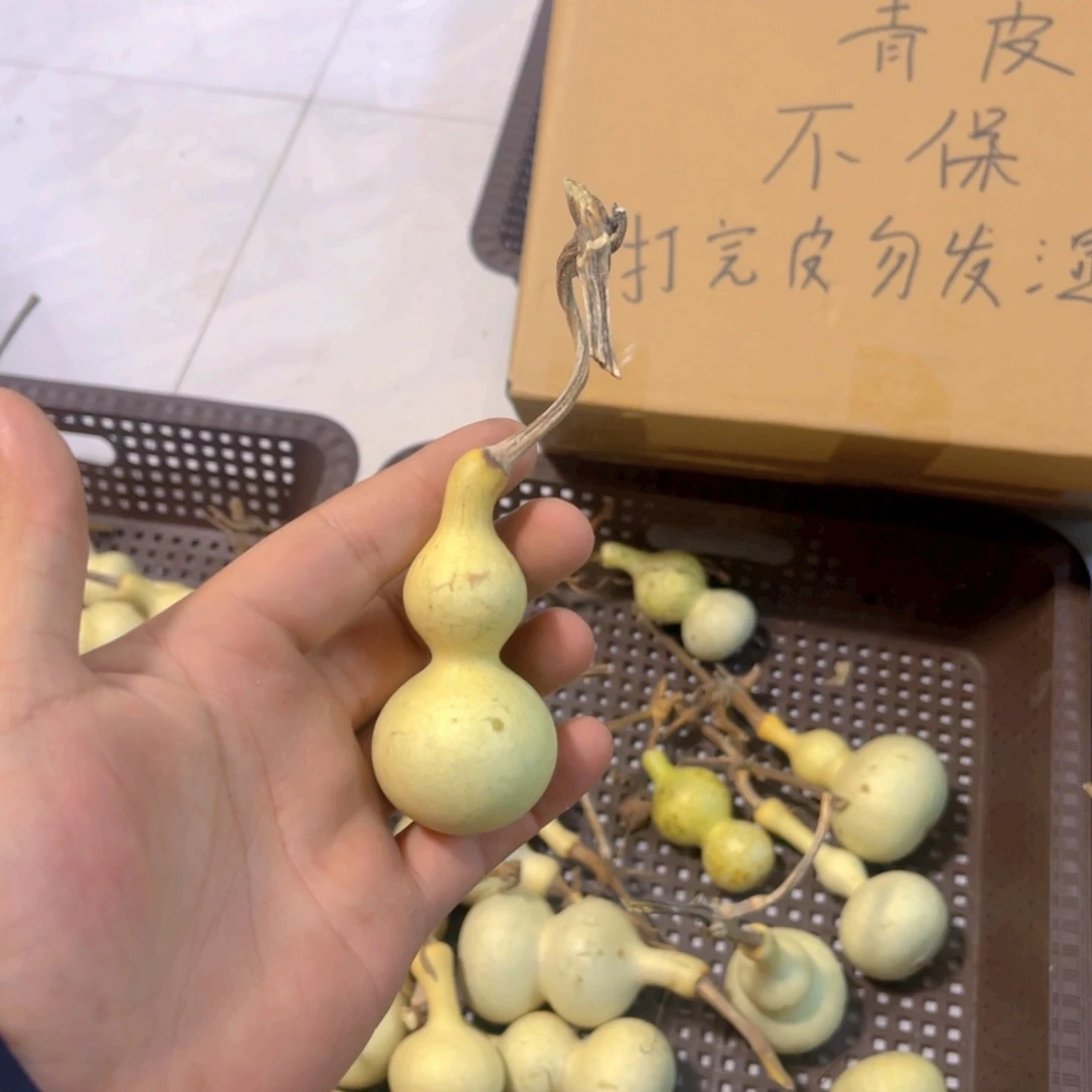 慢***摇感谢大哥支持兄弟，不保成