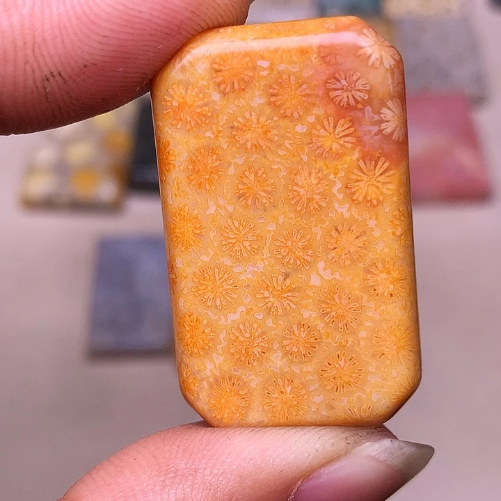 用***1硅化玉合金珊瑚玉