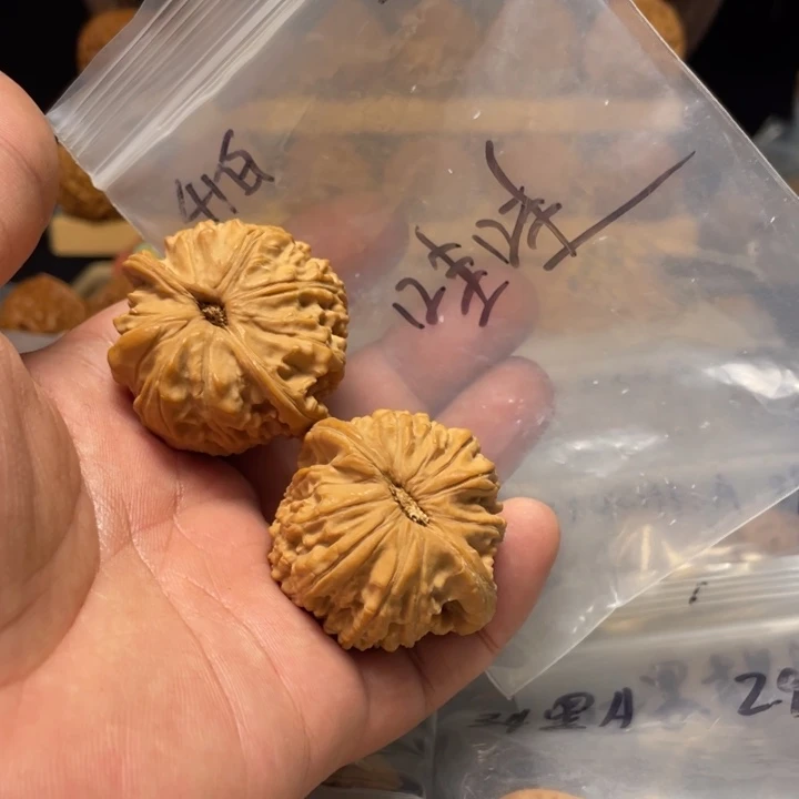 *****文玩核桃把件白狮子