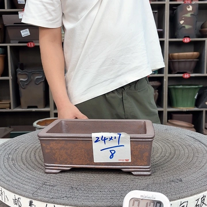 紫砂花盆紫砂的花也太漂亮