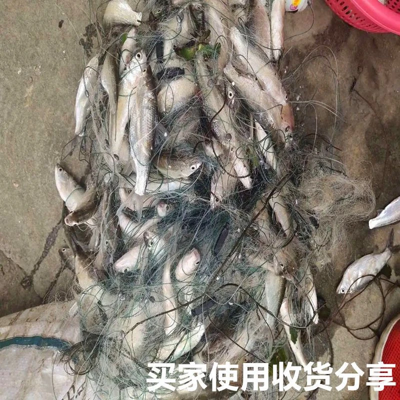 单层小白条网沉网浮网挂网粘网4分5分6分三层捕鱼网网丝网挂子网