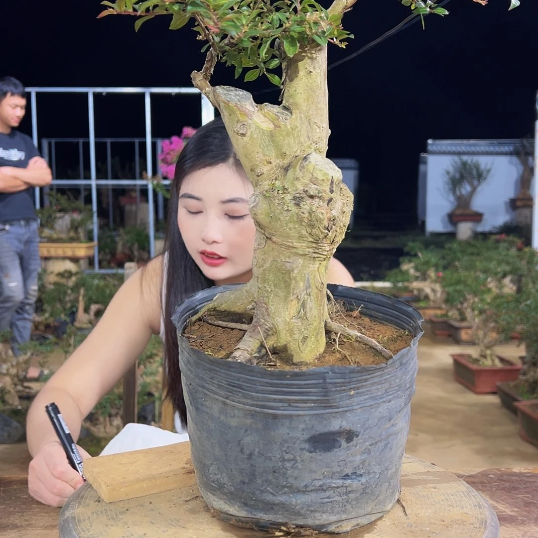 向***8无花朵111111111111111！