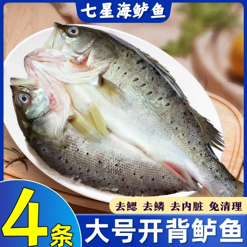 （开背鲈鱼4条）（500g/条）七星开背鲈鱼去腮去鳞去内脏新鲜冷冻发货