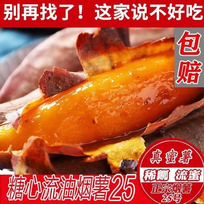 山东正宗烟薯25号新鲜糖心蜜薯沙地种植软糯香甜流油烤地瓜