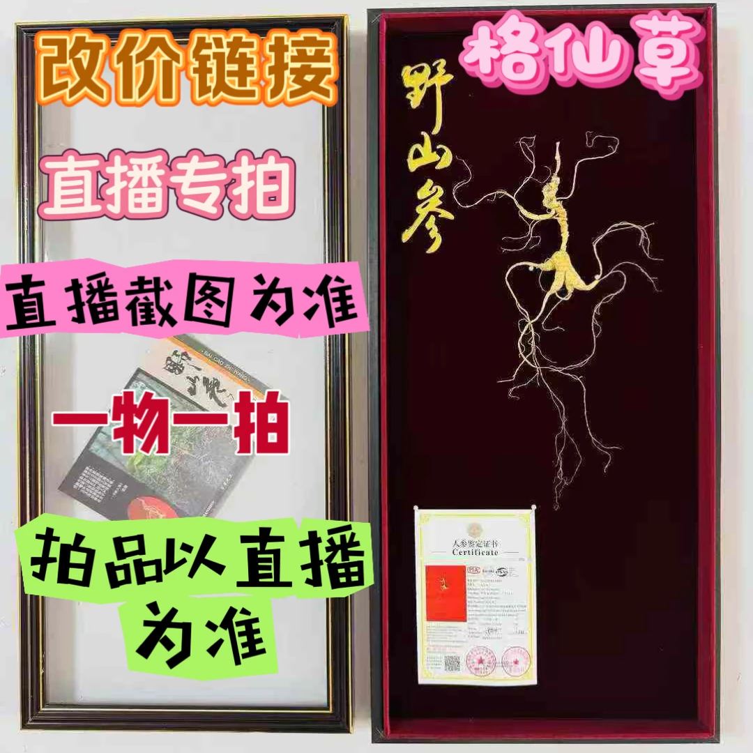 【格仙草改价专用链接】长白山林下参东北林下野山参东北林下参
