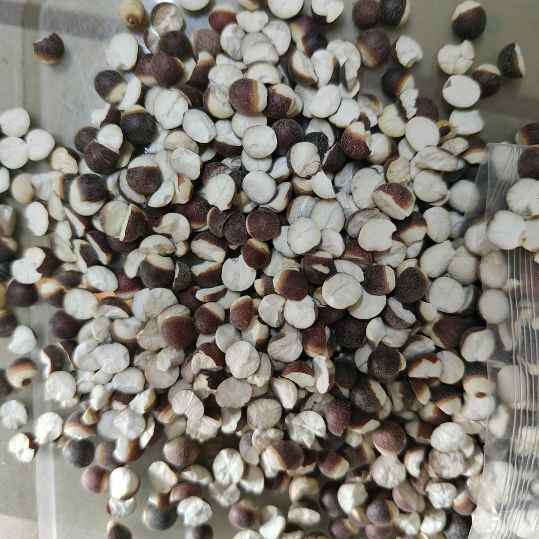 芡实自然风干可以和枸杞一起