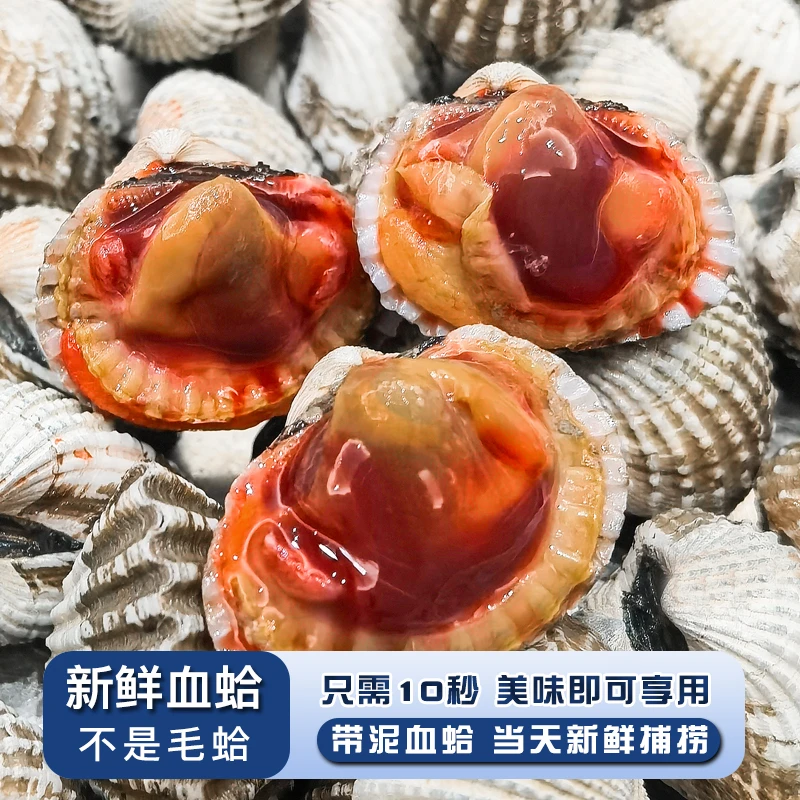 温州血蛤新鲜带泥血蛤乐清本地血蛤鲜甜肉厚海鲜水产顺丰到家血钳