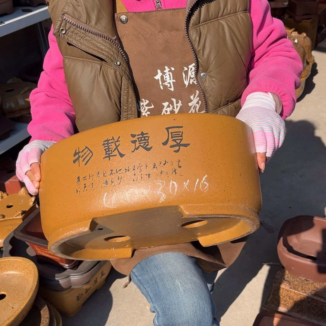 花盆紫砂盆景艺术