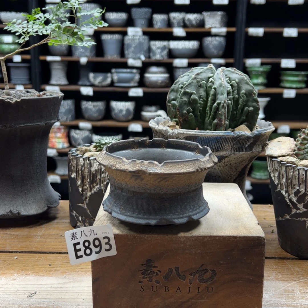 素八九陶瓷内口9.5高6.5