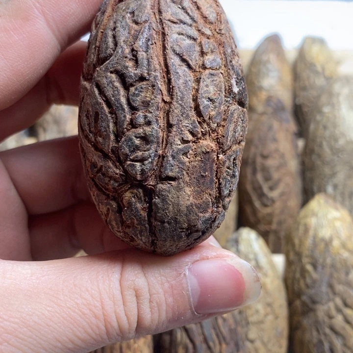 米***儿吊坠千眼菩提菩提