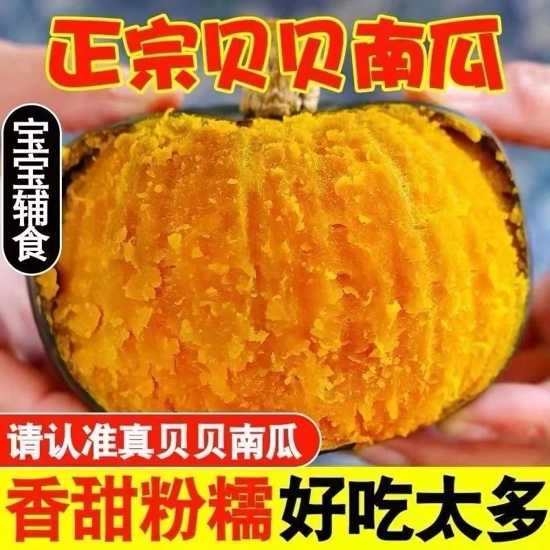 【坏果包赔】正宗贝贝南瓜新鲜蔬菜婴儿辅食粉糯香面带箱5斤