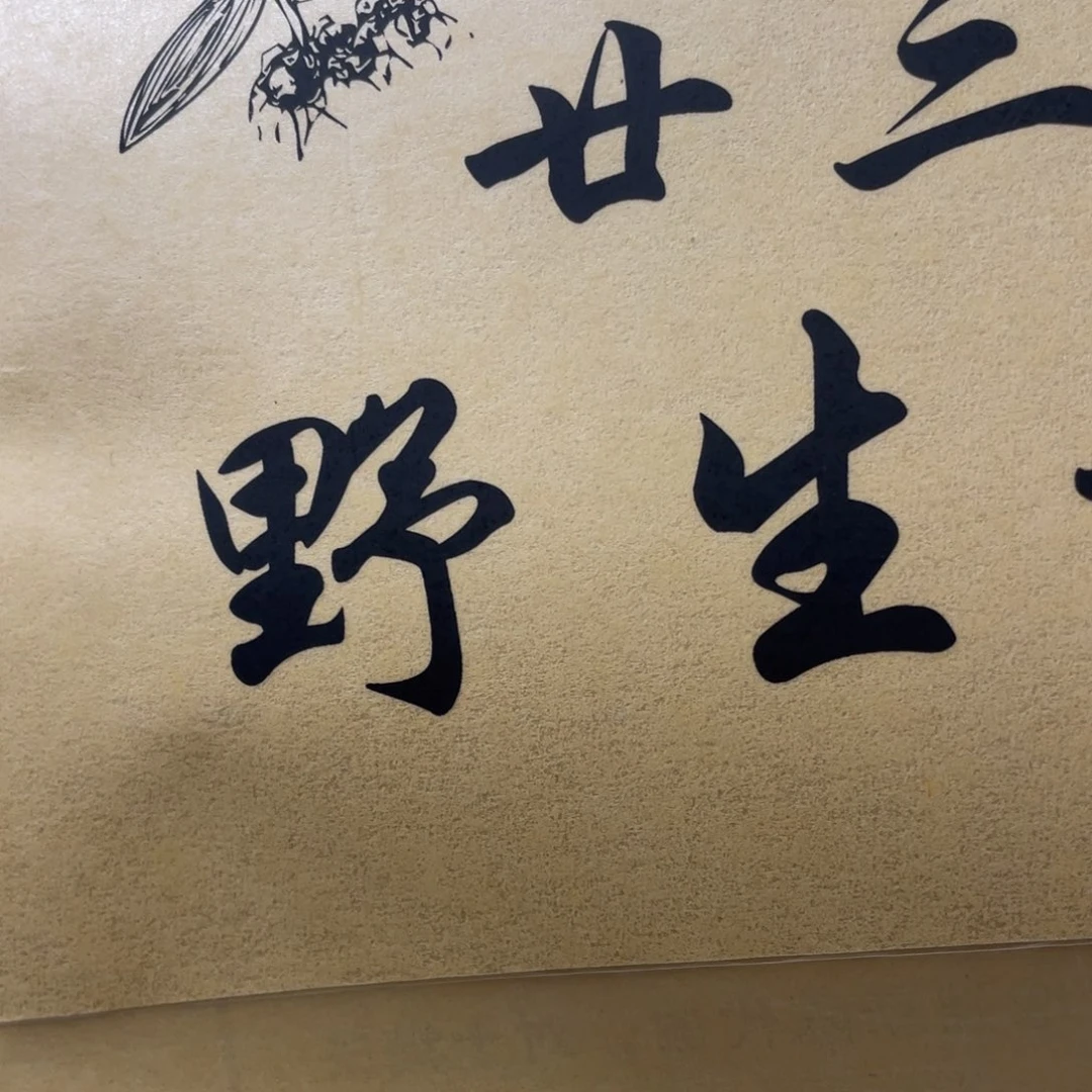 经***常紫砂茶壶精黄野生