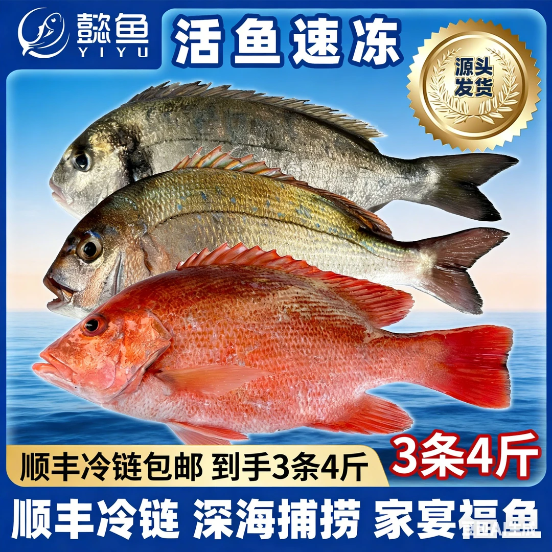【南海真鲷鱼】供港海鲜刺身红 真鲷鱼鱼片高蛋白金头鲷顺丰包邮