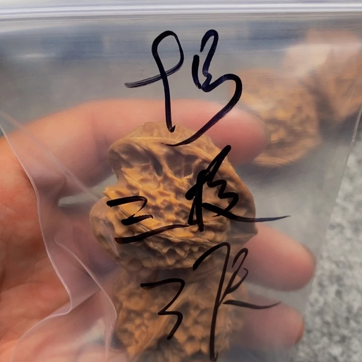 末***歌吊坠文玩核桃三棱