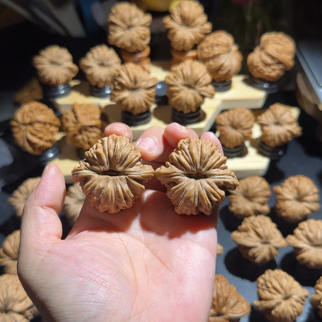 核桃43全品对歪拱桥楼