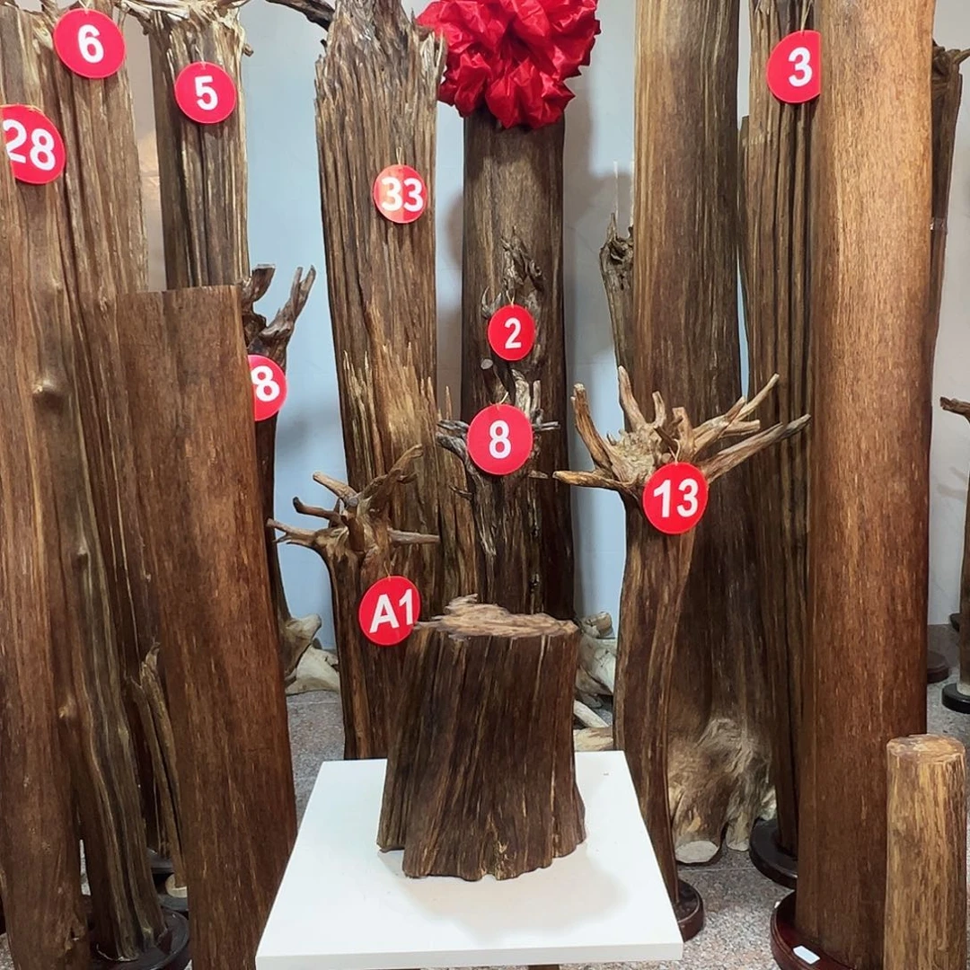 木***李沉香碎屑沉香沉香原料