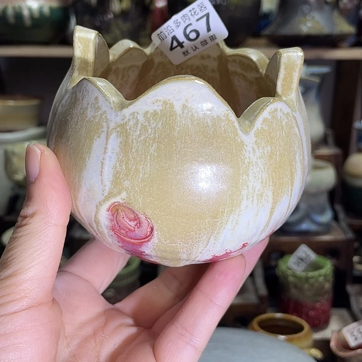 狼盆内口径8高度8