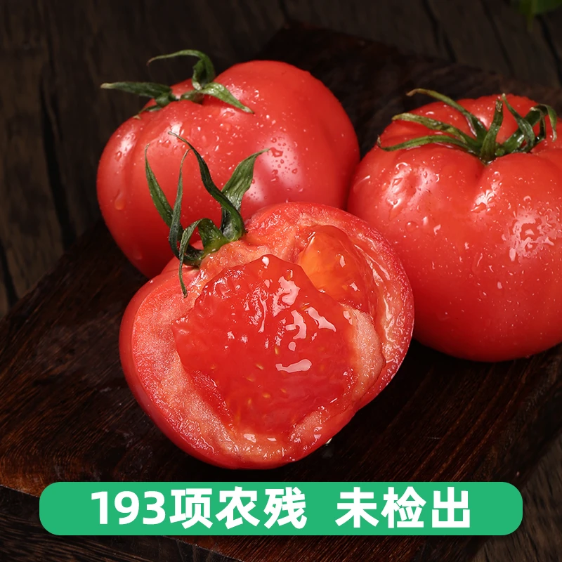西域美农普罗旺斯西红柿番茄沙瓤多汁4.5-5斤彩箱装