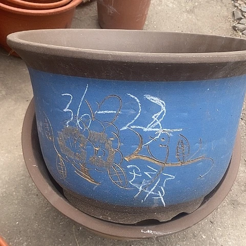 紫砂中国离紫砂花盆，