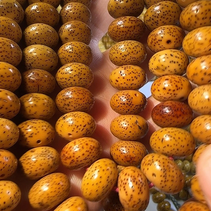 老脱脂星月菩提110