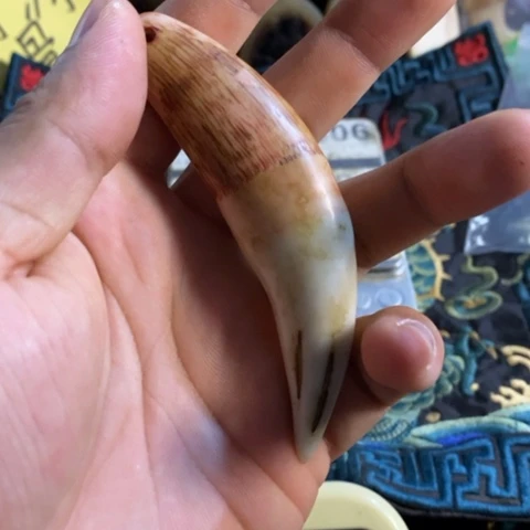 大哥专拍链接一号