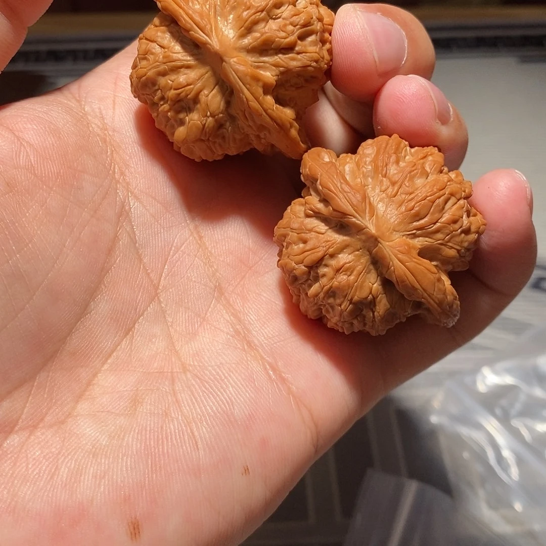 把件文玩核桃002血麒麟41尺全品