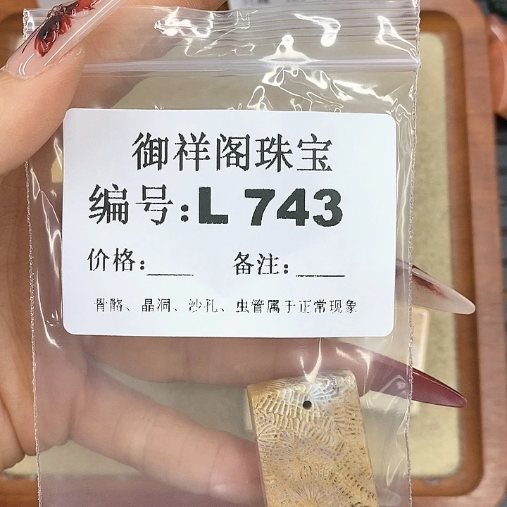 硅化珊瑚（珊瑚玉）颈饰未镶嵌盏*