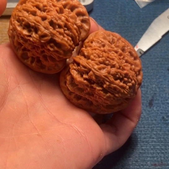 吊坠桃核全品南疆44