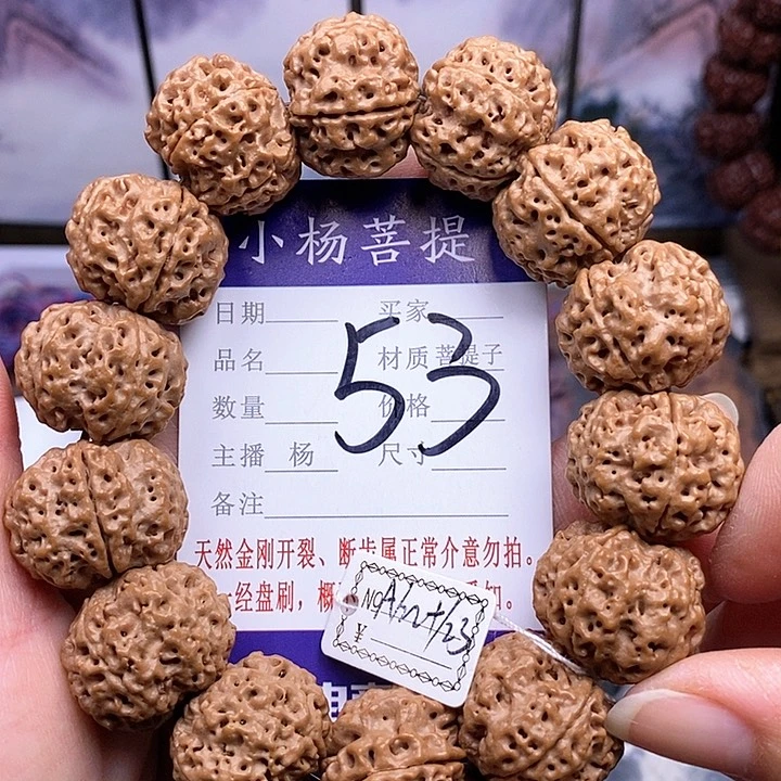 手串金刚菩提22,5/23双龙